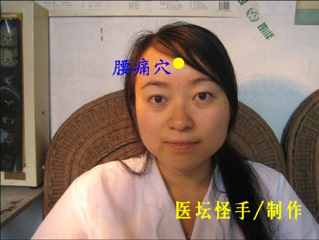 點擊將在新窗口查看全圖 王文遠平衡針灸穴位圖 - 3396815 - 3396815博愛